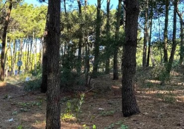 Lote en venta - Oportunidad -Barrio Nayades - Pinamar